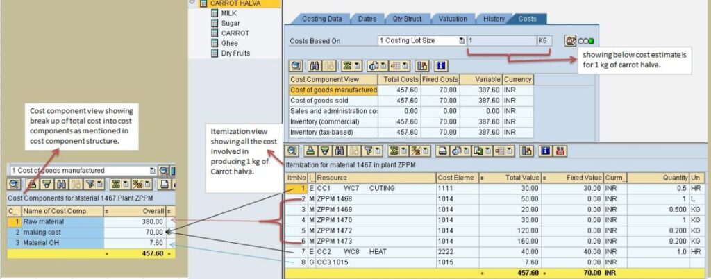 itemization view of standard cost in sap.