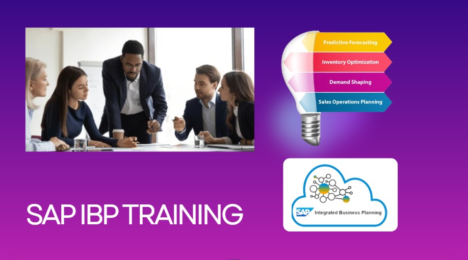 Best SAP IBP training in Pune.