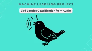 AI project idea using classification model to predict bird species by audio.