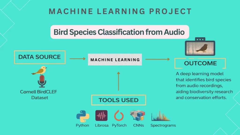 Bird species classification using deep learning by analyzing audio spectrograms with CNN models